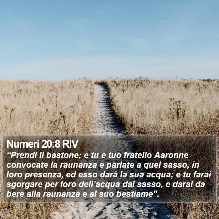 Numeri 20:8 RIV Bible Study