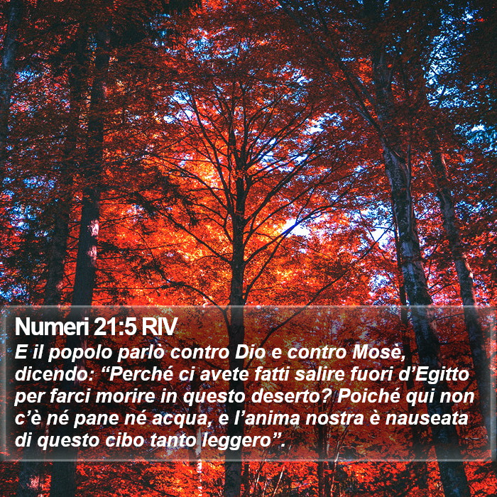 Numeri 21:5 RIV Bible Study