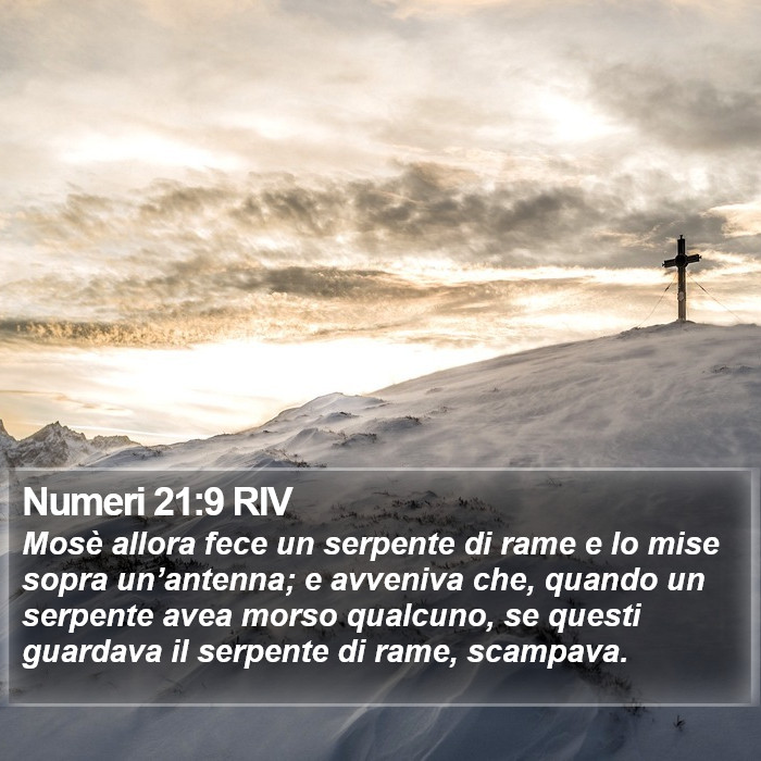 Numeri 21:9 RIV Bible Study