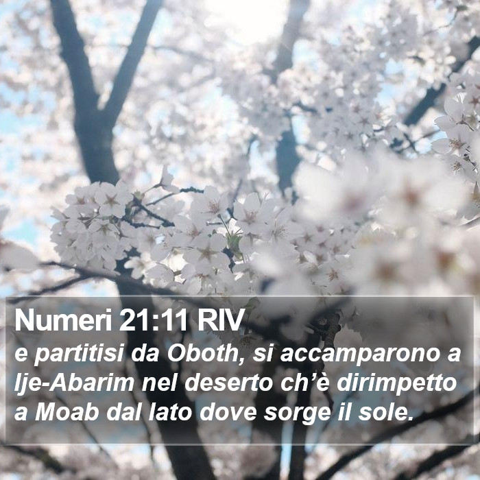 Numeri 21:11 RIV Bible Study