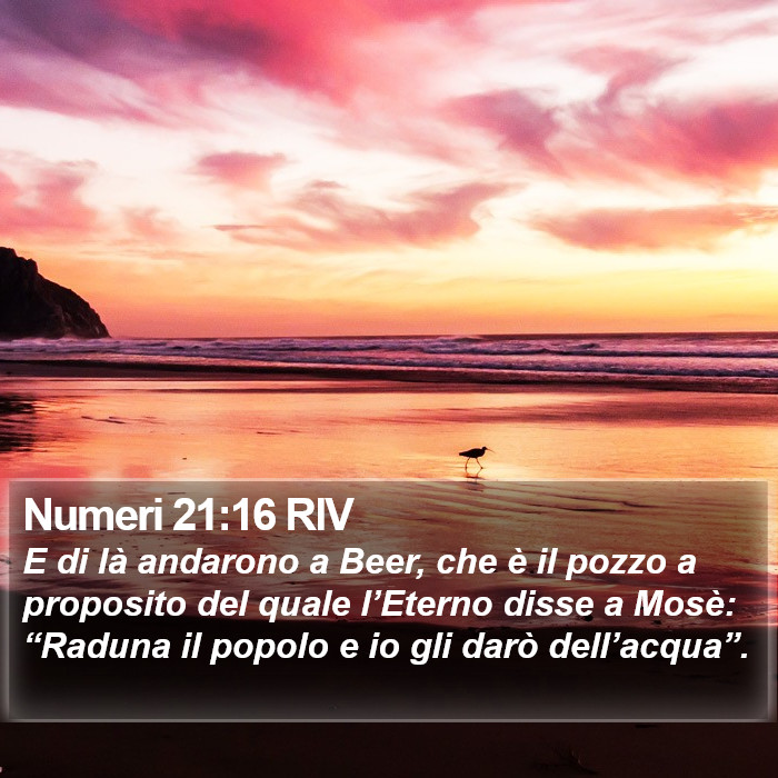 Numeri 21:16 RIV Bible Study