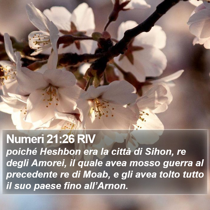 Numeri 21:26 RIV Bible Study