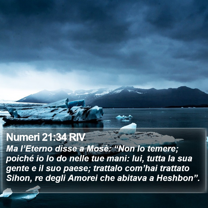 Numeri 21:34 RIV Bible Study