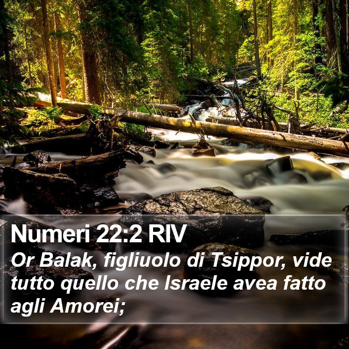 Numeri 22:2 RIV Bible Study