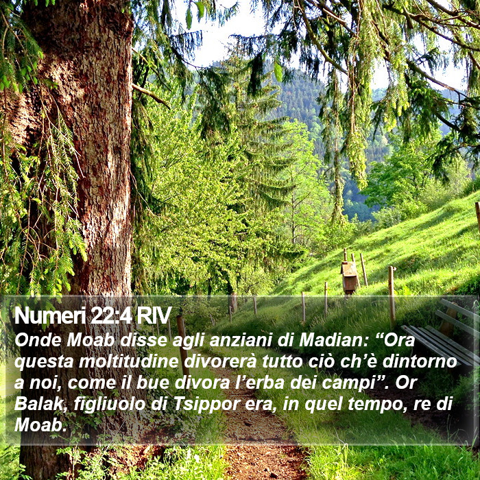Numeri 22:4 RIV Bible Study