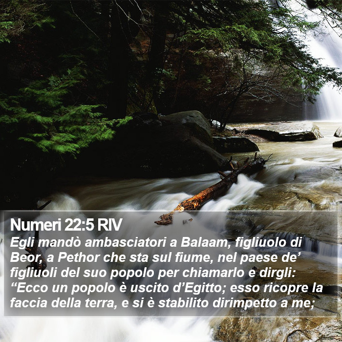 Numeri 22:5 RIV Bible Study