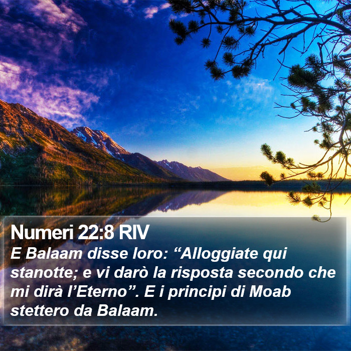 Numeri 22:8 RIV Bible Study