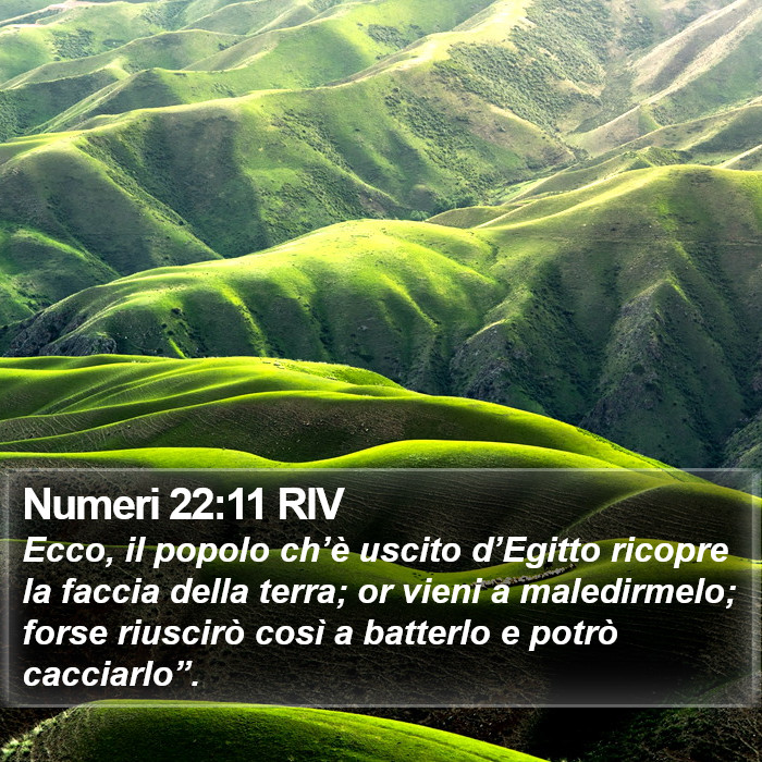 Numeri 22:11 RIV Bible Study