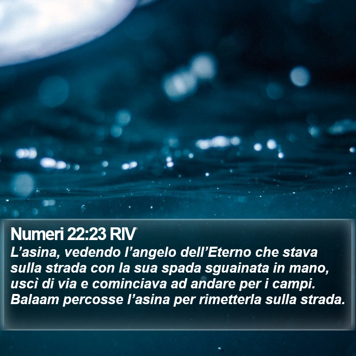Numeri 22:23 RIV Bible Study