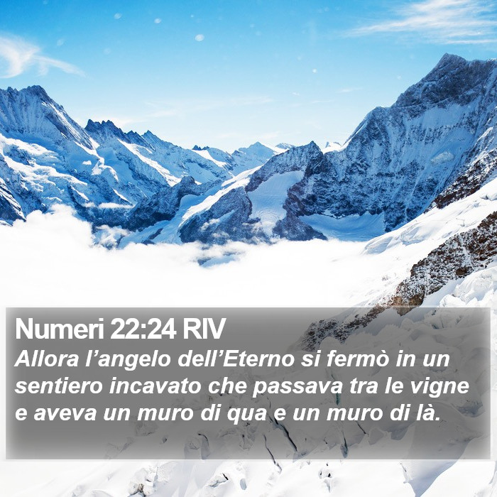 Numeri 22:24 RIV Bible Study