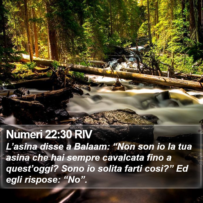 Numeri 22:30 RIV Bible Study