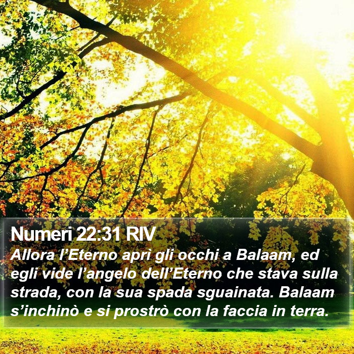 Numeri 22:31 RIV Bible Study