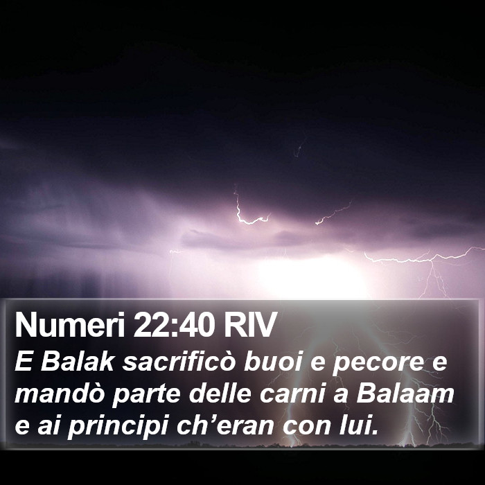 Numeri 22:40 RIV Bible Study