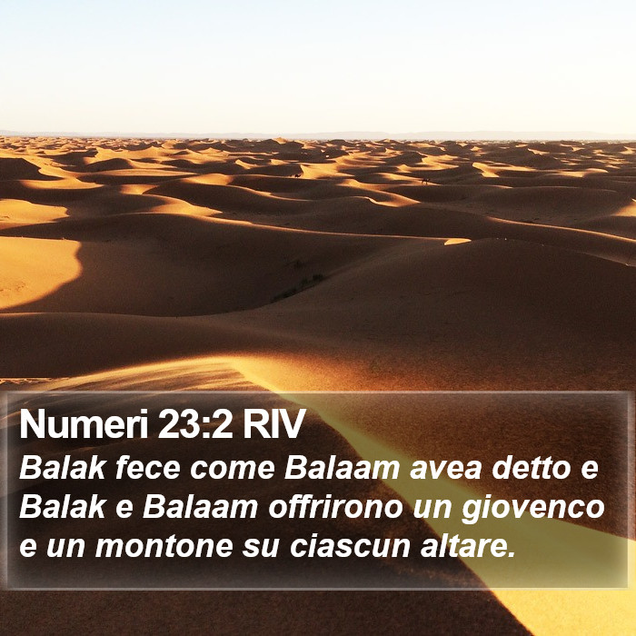 Numeri 23:2 RIV Bible Study