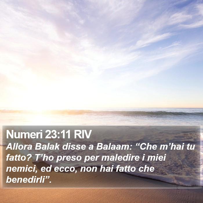 Numeri 23:11 RIV Bible Study