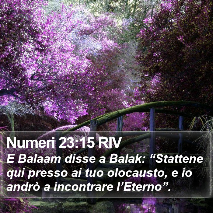 Numeri 23:15 RIV Bible Study