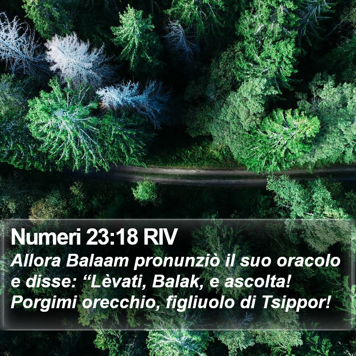 Numeri 23:18 RIV Bible Study