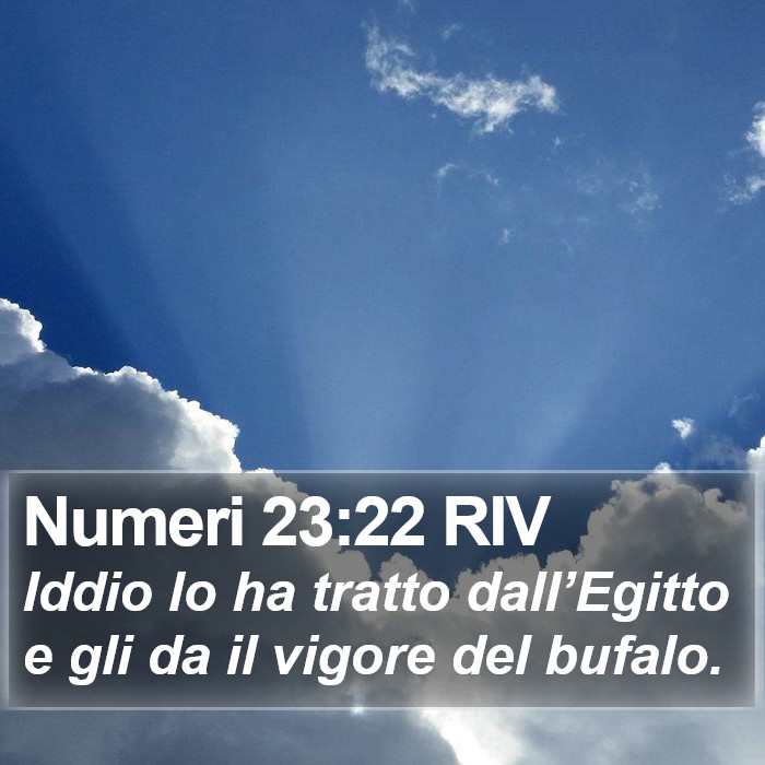 Numeri 23:22 RIV Bible Study