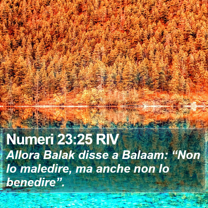 Numeri 23:25 RIV Bible Study