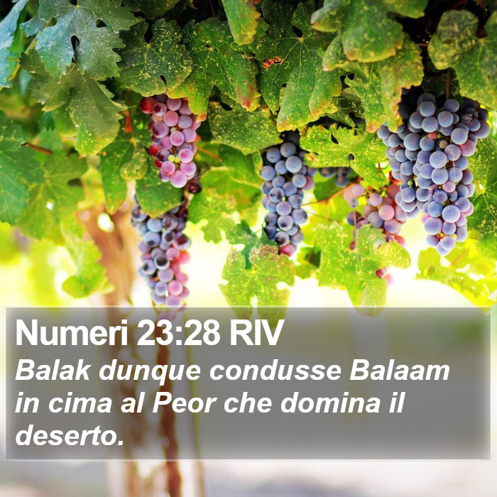 Numeri 23:28 RIV Bible Study