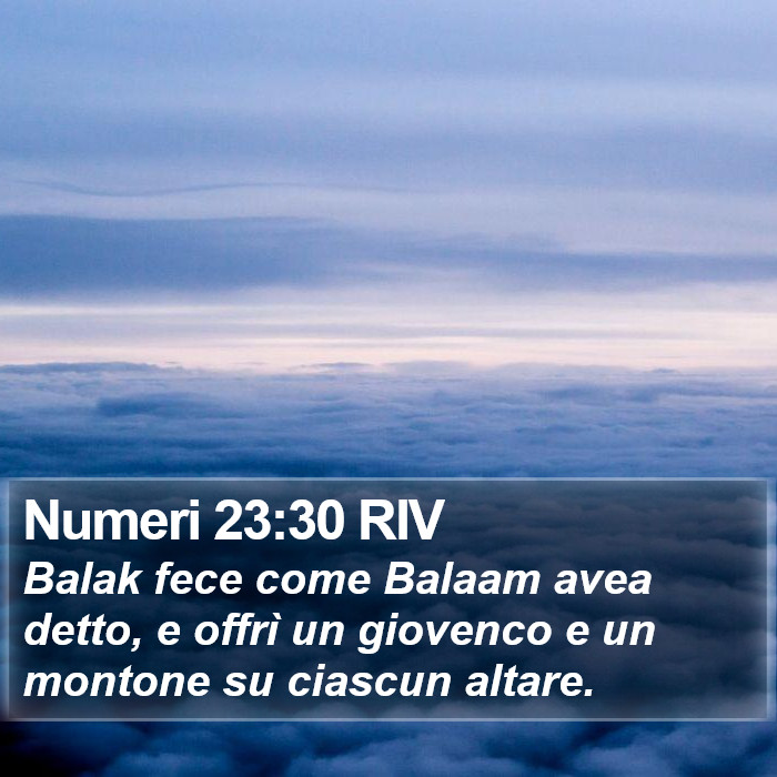 Numeri 23:30 RIV Bible Study