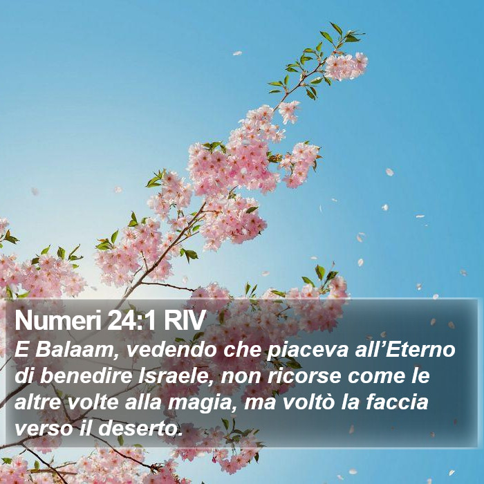 Numeri 24:1 RIV Bible Study