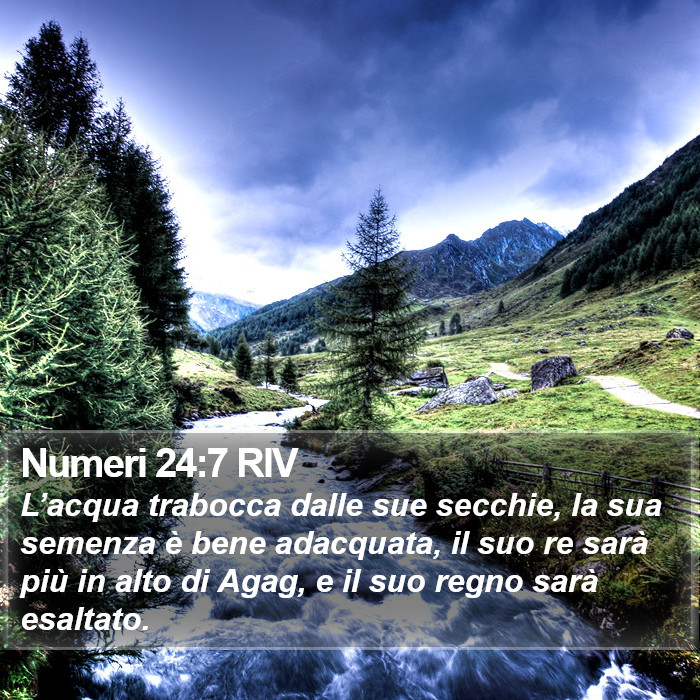 Numeri 24:7 RIV Bible Study