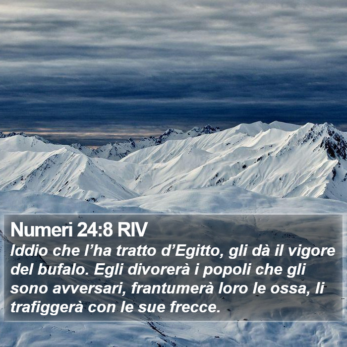 Numeri 24:8 RIV Bible Study