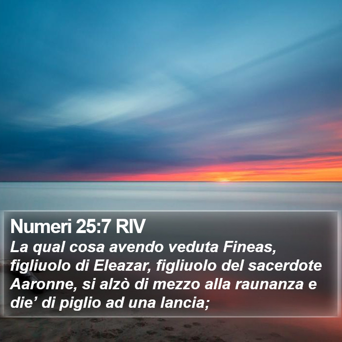 Numeri 25:7 RIV Bible Study