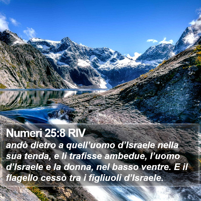 Numeri 25:8 RIV Bible Study