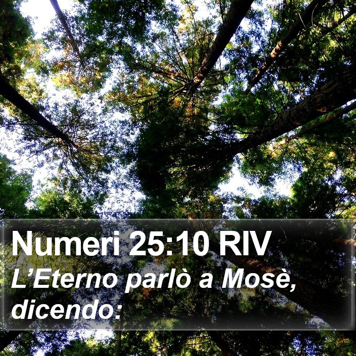Numeri 25:10 RIV Bible Study