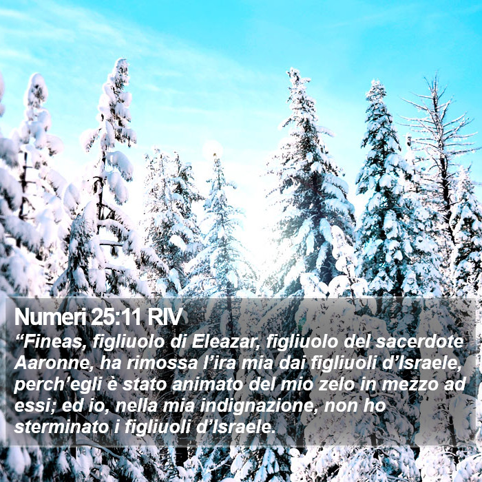 Numeri 25:11 RIV Bible Study