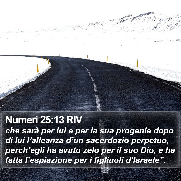 Numeri 25:13 RIV Bible Study