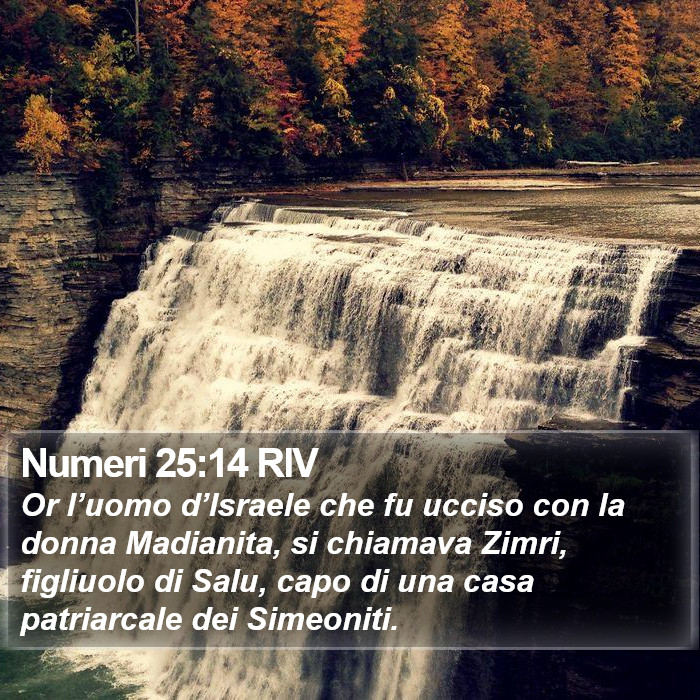 Numeri 25:14 RIV Bible Study