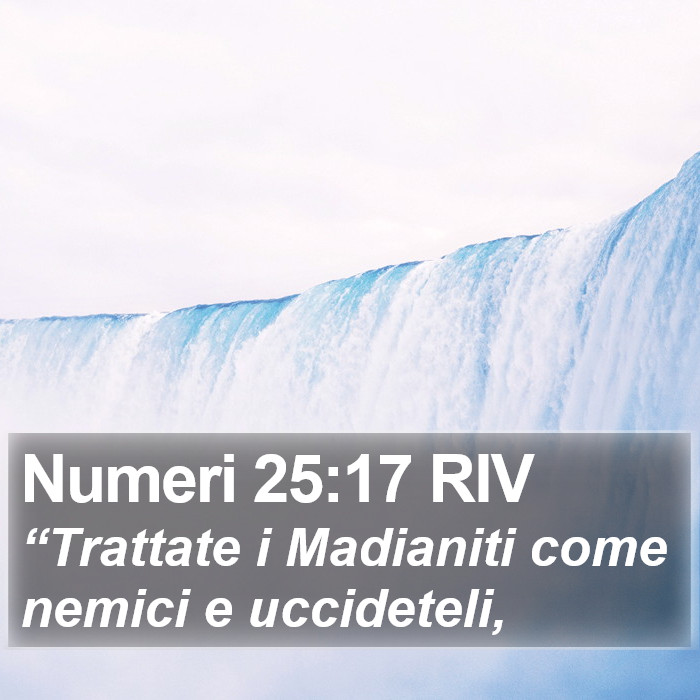Numeri 25:17 RIV Bible Study