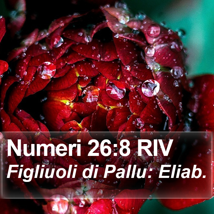 Numeri 26:8 RIV Bible Study
