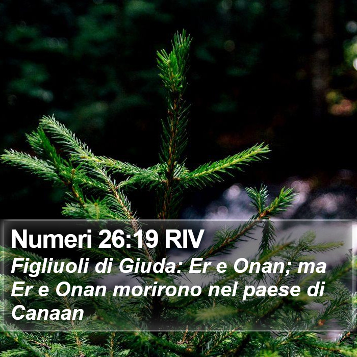 Numeri 26:19 RIV Bible Study