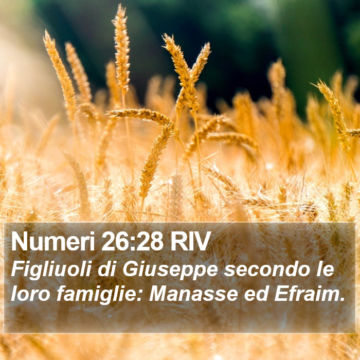 Numeri 26:28 RIV Bible Study