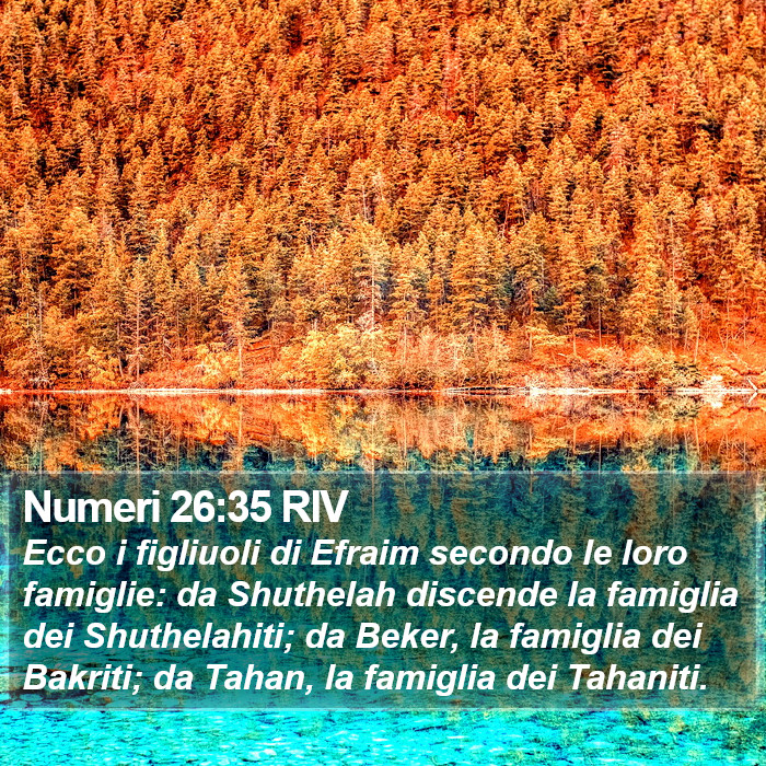 Numeri 26:35 RIV Bible Study