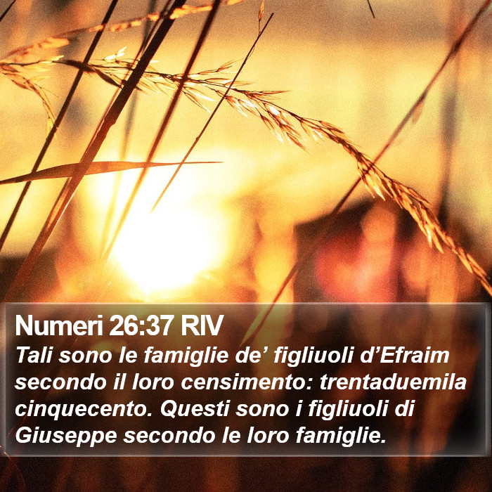 Numeri 26:37 RIV Bible Study