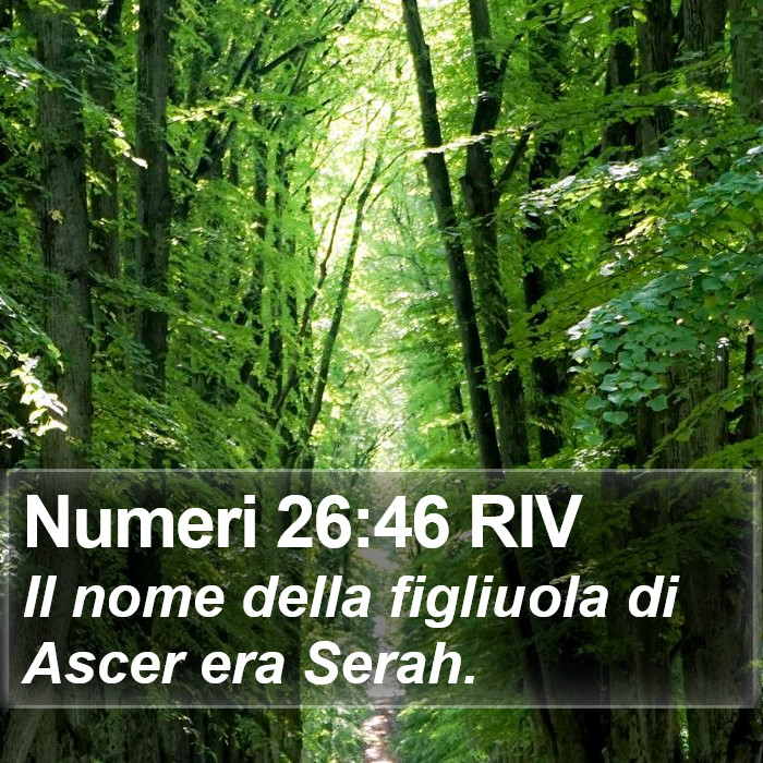 Numeri 26:46 RIV Bible Study