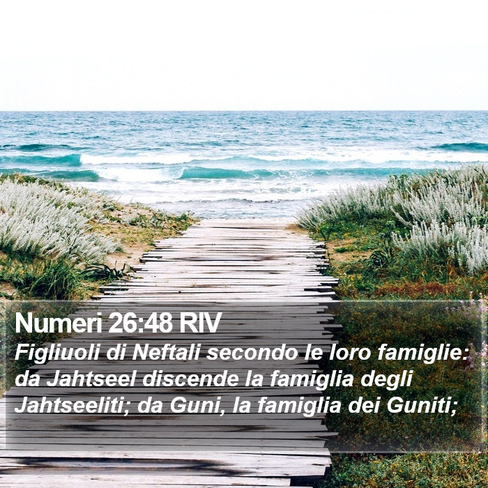 Numeri 26:48 RIV Bible Study