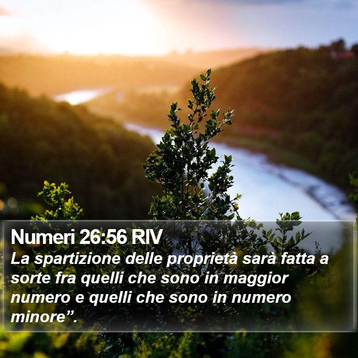Numeri 26:56 RIV Bible Study