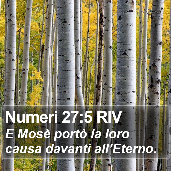 Numeri 27:5 RIV Bible Study