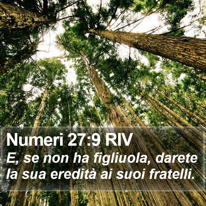 Numeri 27:9 RIV Bible Study