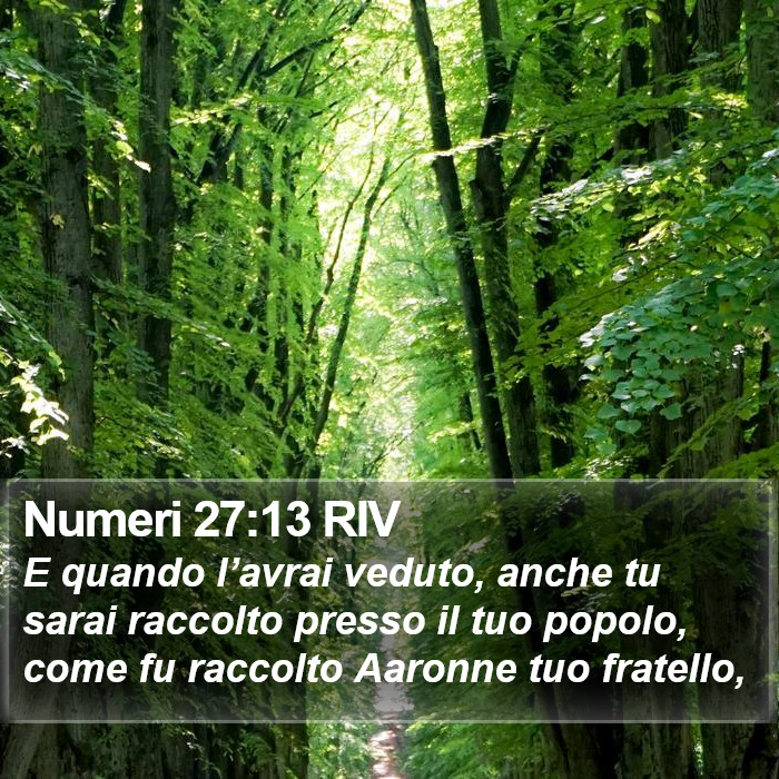 Numeri 27:13 RIV Bible Study