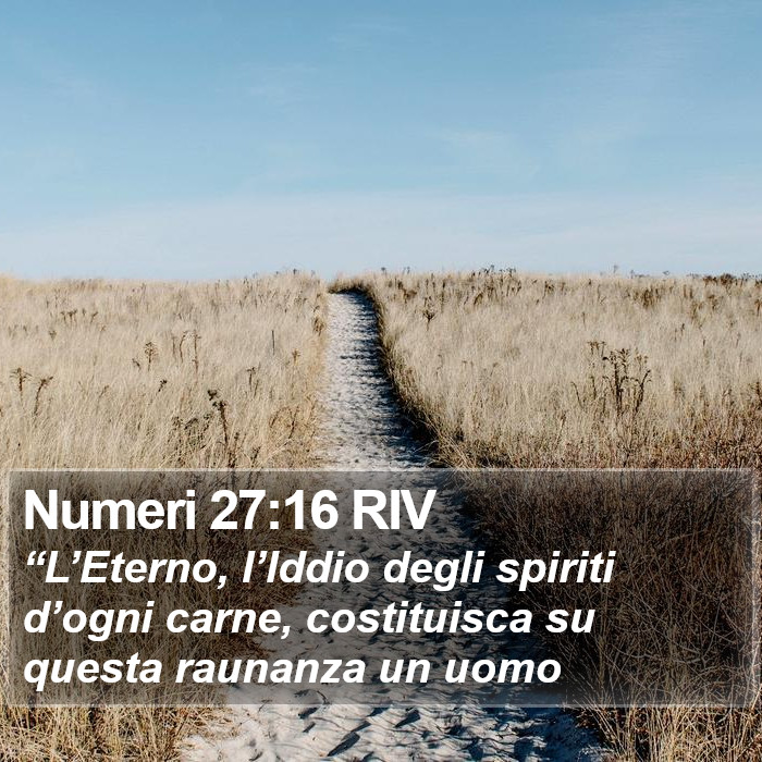 Numeri 27:16 RIV Bible Study