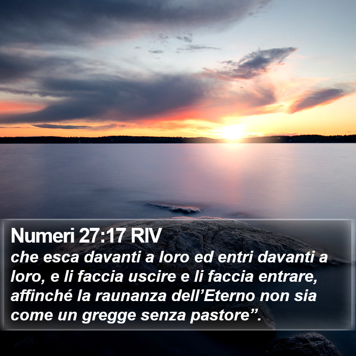 Numeri 27:17 RIV Bible Study