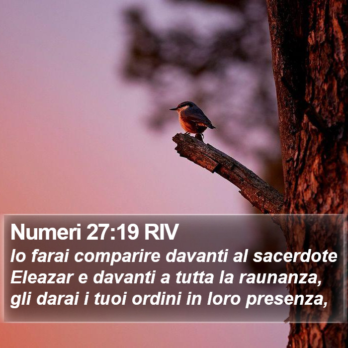 Numeri 27:19 RIV Bible Study