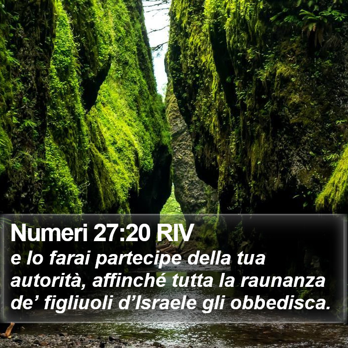 Numeri 27:20 RIV Bible Study